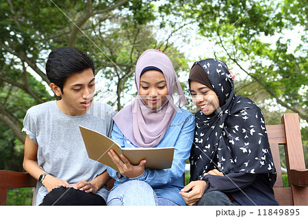 公園でノートを見る３人のアジア人 11849895