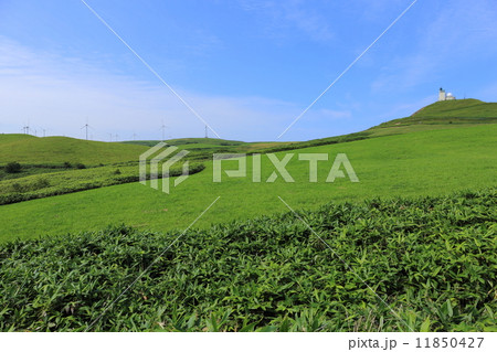 宗谷丘陵・宗谷岬ウィンドファーム 11850427