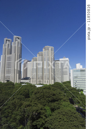 快晴青空 新宿中央公園の緑と新宿高層ビル群 イメージ 059 快晴青空 新宿中央公園の緑と新宿高層ビル群 イメージ 059 11850816