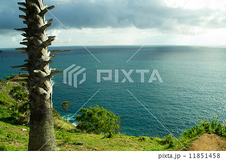 アンダマン海 11851458