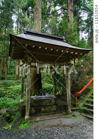 お岩神社 手水舎 お岩神社 手水舎 11852054