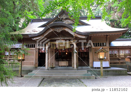 高千穂神社 高千穂神社 11852102