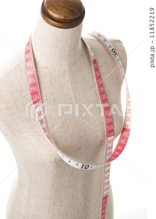 トルソーとメジャーのクローズアップ トルソーとメジャーのクローズアップ 11852219