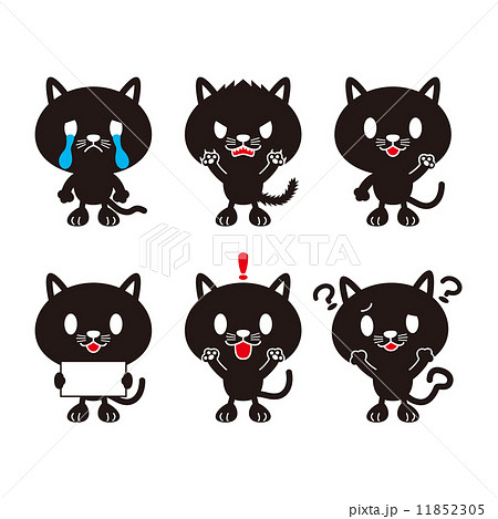 黒猫 11852305