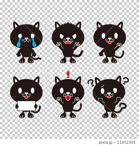 黒猫 11852305