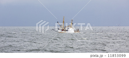 Shrimper at the North Sea not far from Helgoland (Germany) 11853099