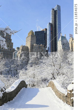 橋からの望む雪景色　セントラルパーク　縦　 11854075