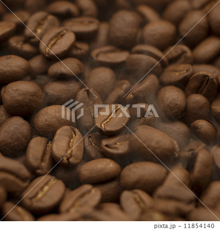 コーヒー豆 11854140