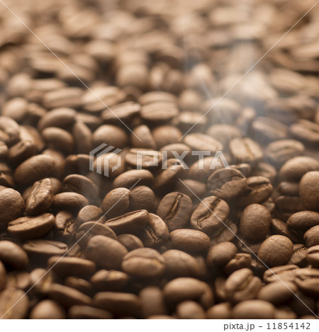 コーヒー豆 コーヒー豆 11854142