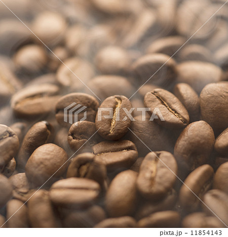 コーヒー豆 11854143