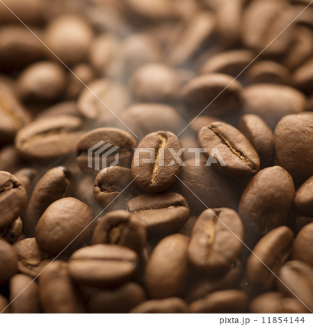 コーヒー豆 11854144