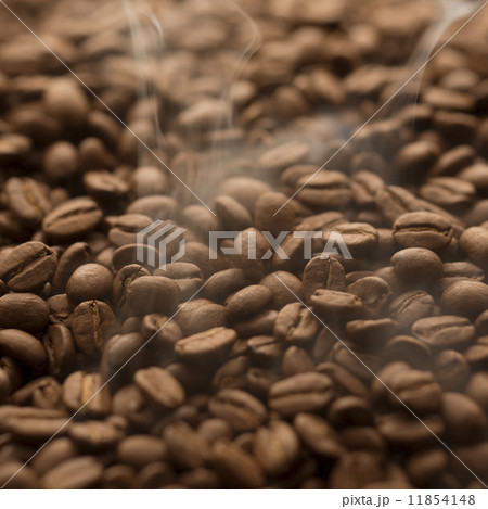 コーヒー豆 コーヒー豆 11854148