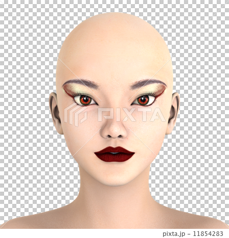 Female face up - Stock Illustration [11854283] - PIXTA