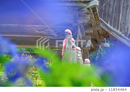 蓮台寺山門のお地蔵さん 蓮台寺山門のお地蔵さん 11854464
