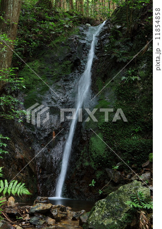 毘沙門の滝 11854858