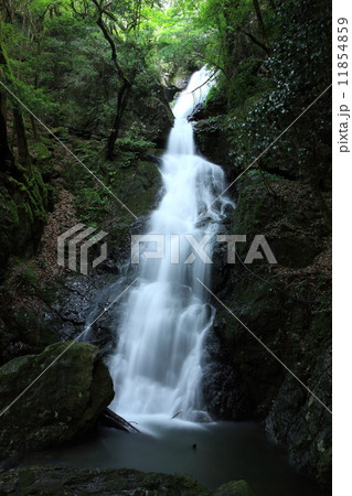 河原田不動滝 11854859