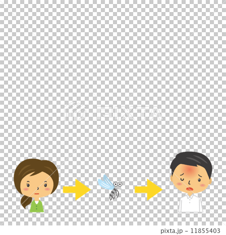 Mosquito-infected dengue infection Mosquito-infected dengue infection 11855403