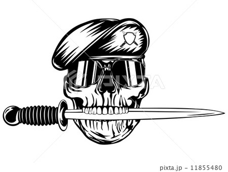 Skull in beret with dagger 11855480