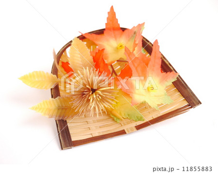 秋の実り 秋の実り 11855883