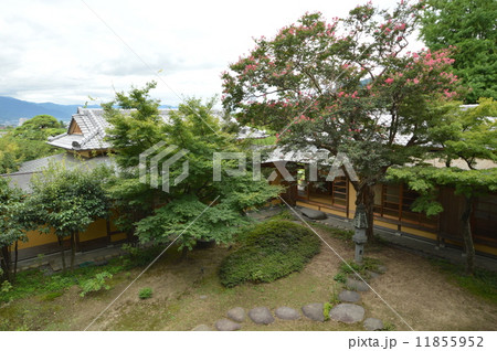 根津記念館 山梨 根津記念館 山梨 11855952