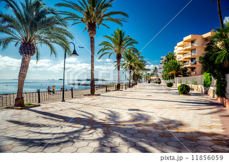 View of Ibiza seafront. Spain 11856059