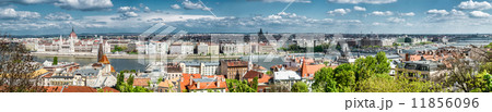 Panoramic view of Budapest city. Hungary 11856096