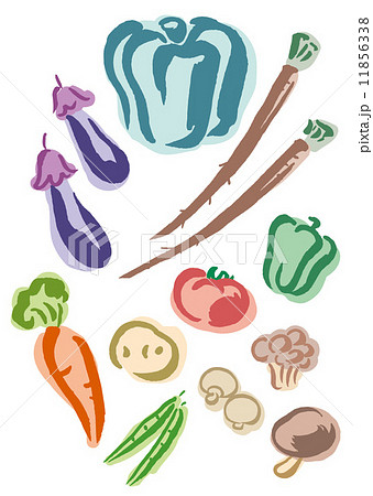 野菜　いろいろ　イラスト 11856338