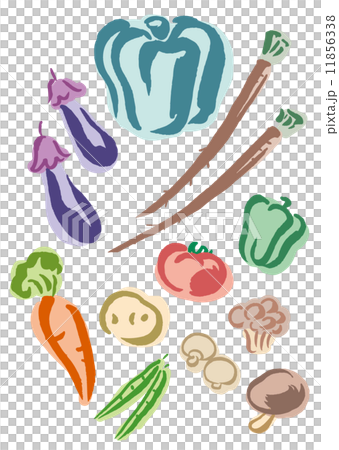野菜　いろいろ　イラスト 11856338