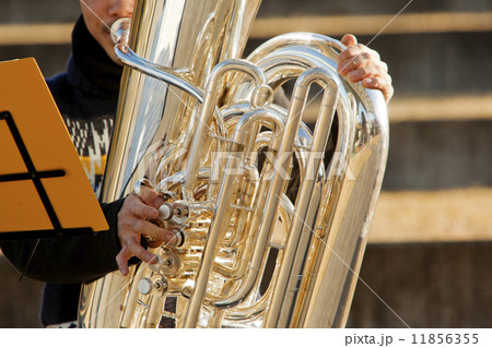 ミューズパーク12 11856355