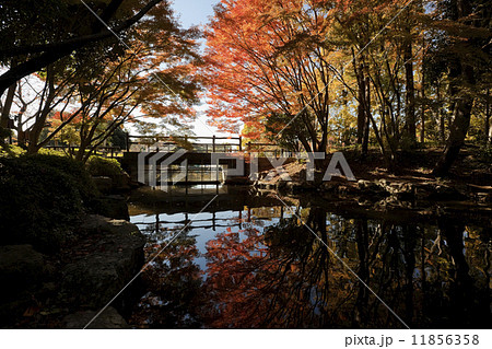 丸山公園01 11856358
