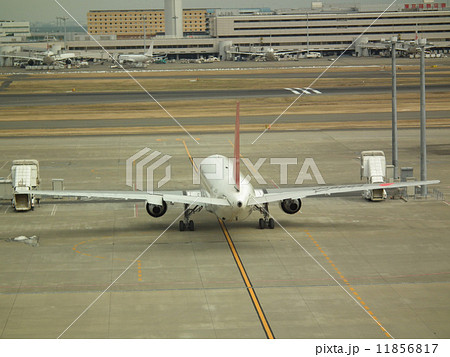 羽田空港　第1旅客ターミナル 11856817