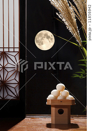 月見 月見 11856942