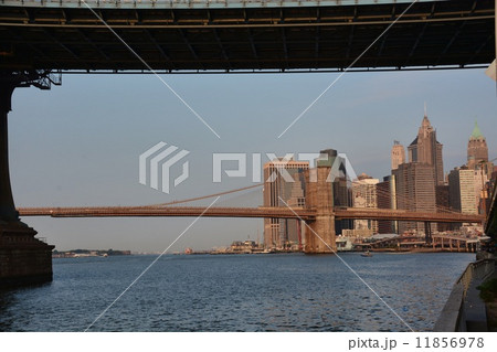 New York 11856978