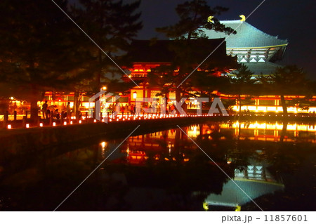 東大寺 ライトアップの写真素材