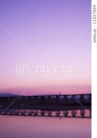 流れ橋 朝景色 流れ橋 朝景色 11857664