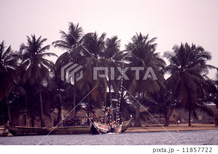 ヴォルタ川の河口 11857722