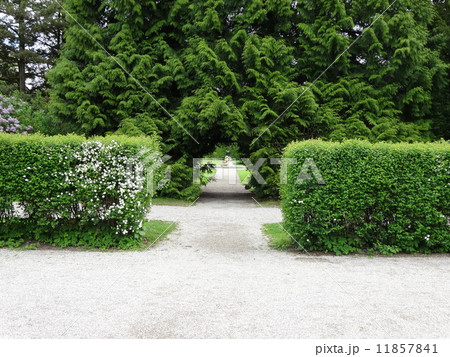 ニンフェンブルク城　庭園 11857841