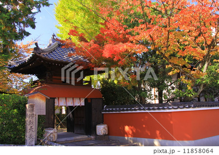 長建寺（京都・伏見）の紅葉 11858064