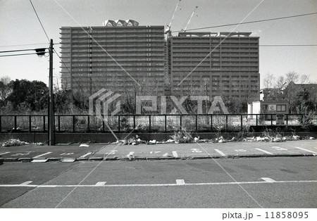 東京湾埋立地・晴海　1990年代の記録 11858095