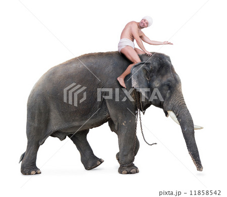 mahout rides on an elephant and shows forward mahout rides on an elephant and shows forward 11858542