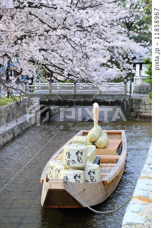 京都　高瀬川一之船入 11858967