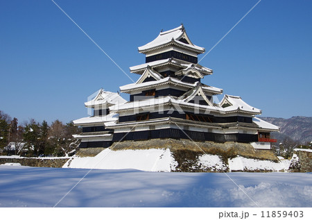 国宝　松本城　雪景色 11859403