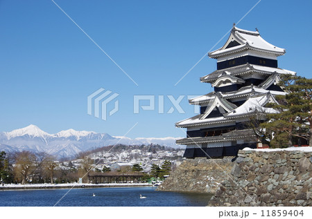 国宝　松本城　雪景色 11859404