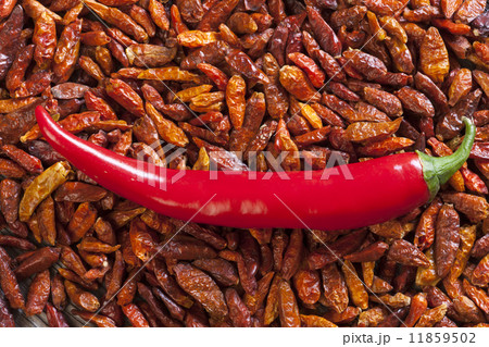 Background of dried chili peppers 11859502