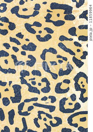leopard skin texture leopard skin texture 11859964