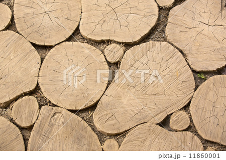 texture of the wood texture of the wood 11860001