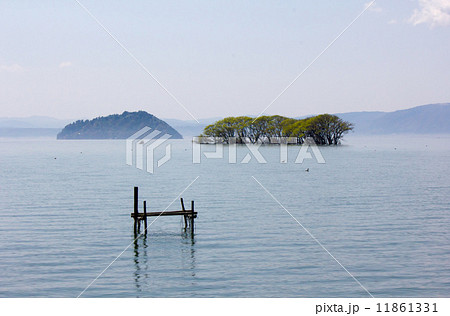 奥琵琶湖　竹生島と湖上の樹（水鳥公園　付近） 11861331