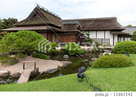 夏の後楽園 11861542