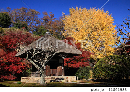 長壽寺・観音堂の紅葉 11861988