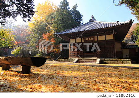 浄智寺の落葉 浄智寺の落葉 11862110
